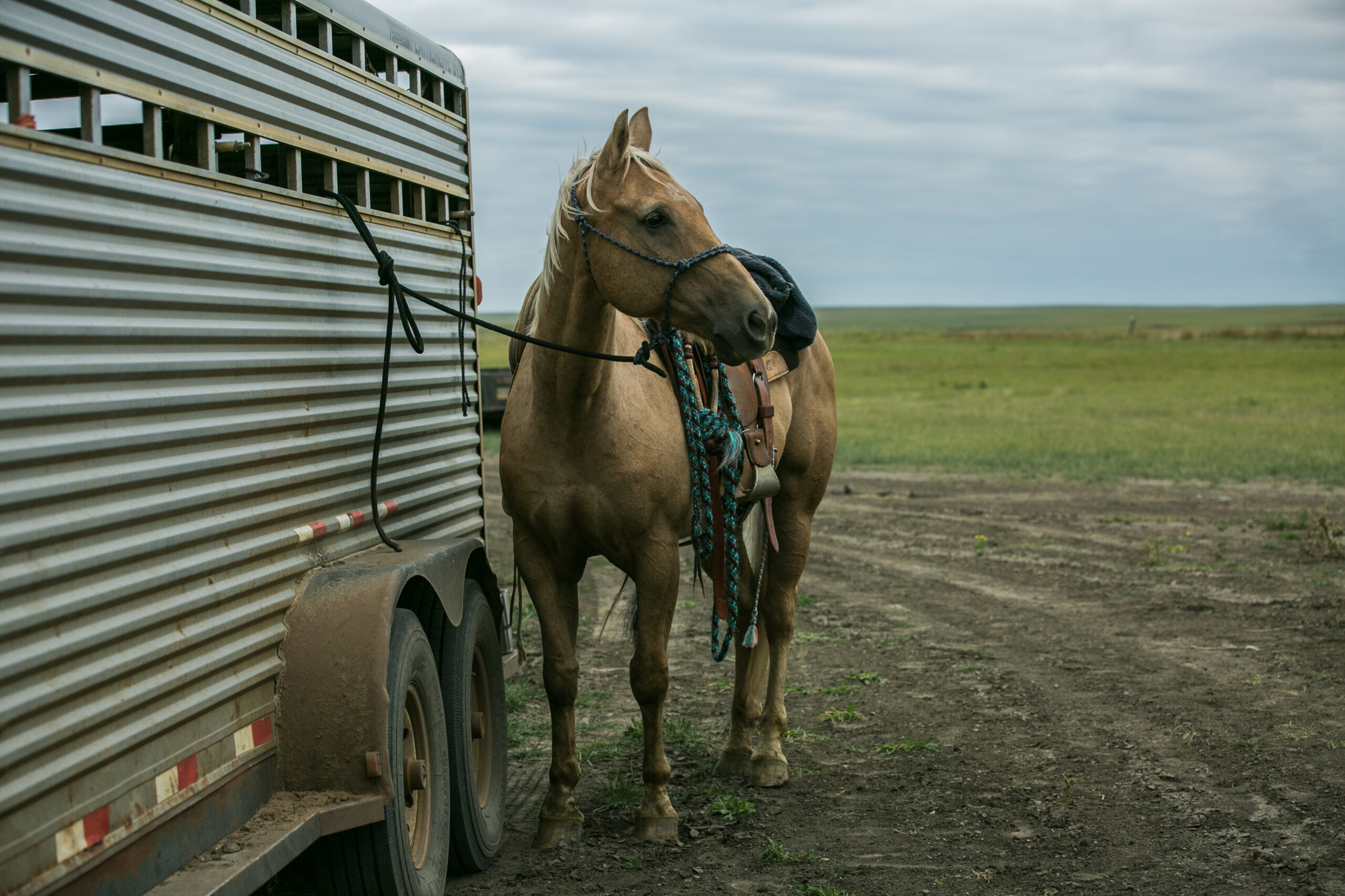 fidgety horse, outside the turn