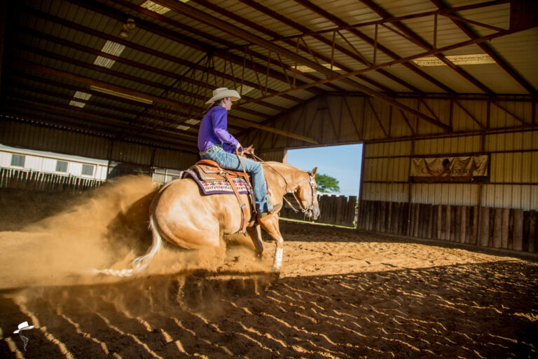 collection part 4, outside the turn, a properly collected horse, ride outside the turn, horse training