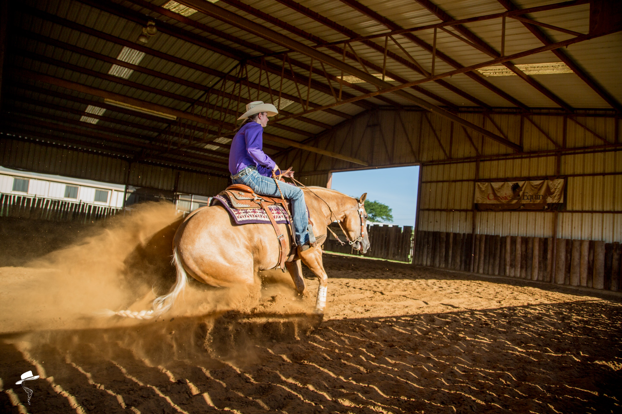 collection part 4, outside the turn, a properly collected horse, ride outside the turn, horse training