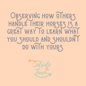 observation is key when choosing a horse trainer, outside the turn, horse training, colt starting