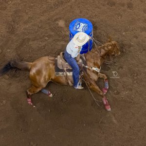 Boomer Learns the Pattern