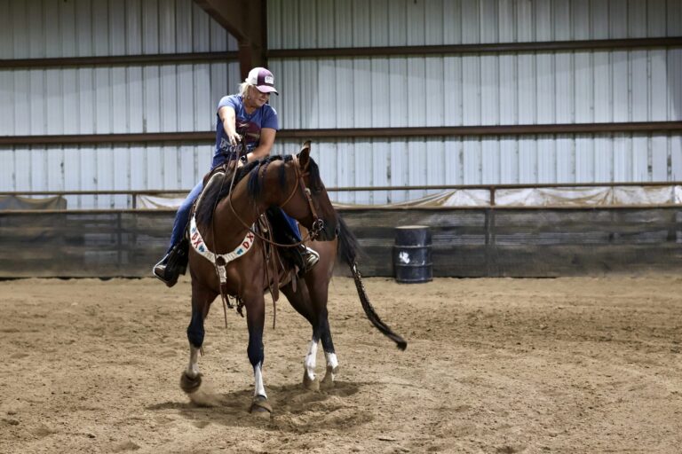 lateral work, lateral work, foundation horsemanshiop, outside the turn university