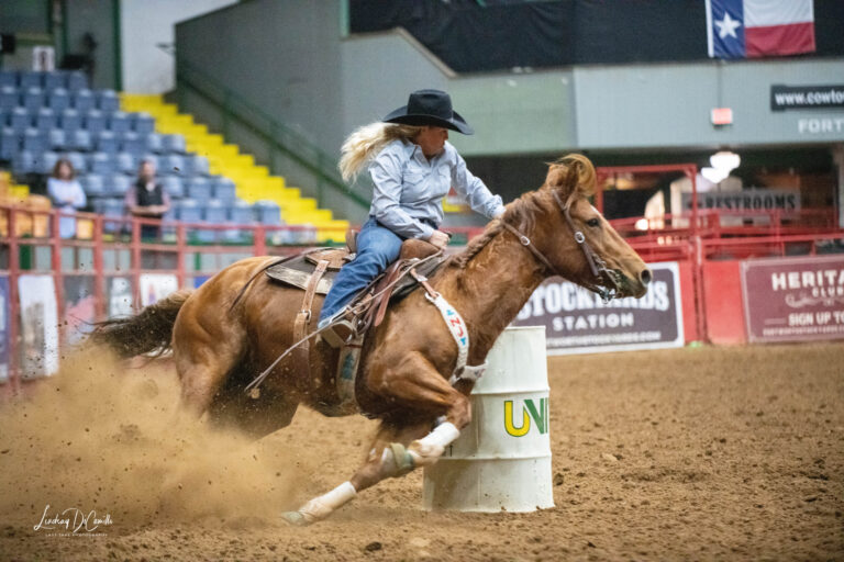 Prepare Luna to be Saddled
