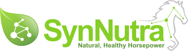 synnutra equine