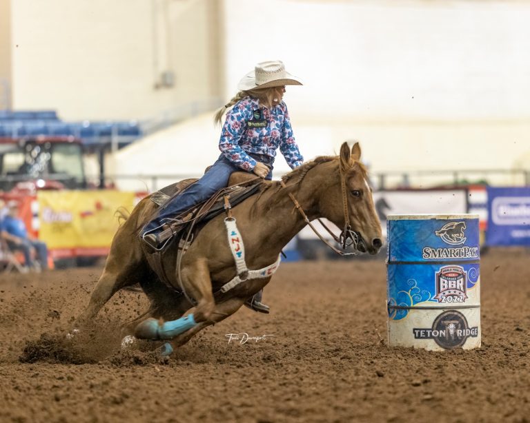 What’s In The Barn- Tack Edition