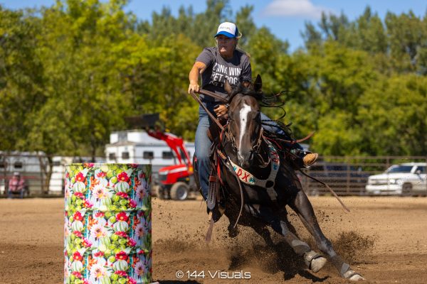 ms lewie lewie, off track barrel horse, quarter horse