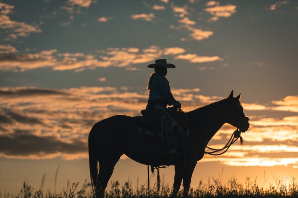 horsemanship 101, what is horsemanship, horseback riding, horseback safety, horsemanship safety, first time horse owners