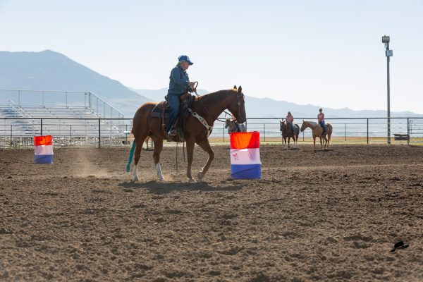 2024 Bowman Clinic Highlights, ride with ottu, ride with outsidetheturn, horsemanship, barrel racers, horsemanship for barrel racers