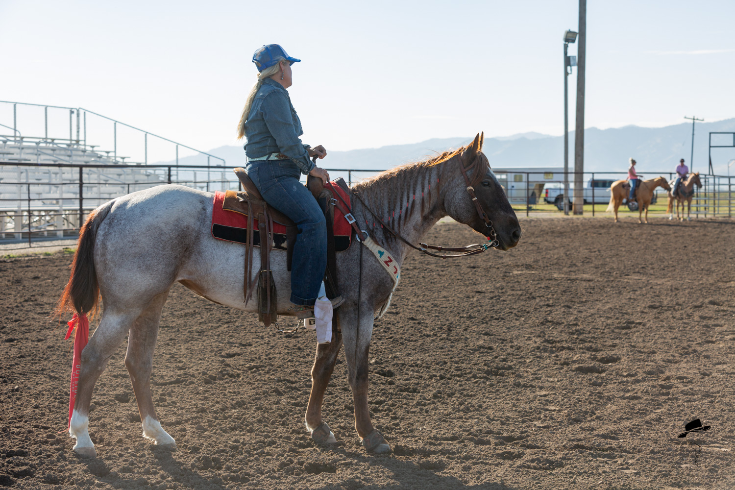 fireball, bet shesa lady, ottu, outside the turn university, barrel horse coaching, bootcamp for horse owners