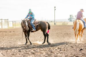 From Heavy to Light: 10 Rides to a Softer More Responsive Horse