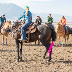 Horsemanship 101