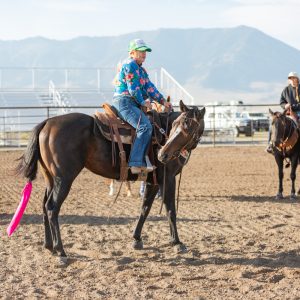 lateral work, lateral work, outsdie the turn, lateral work for collection and body control