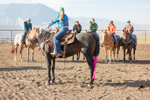 10 days to a softer, more Responsive horse.